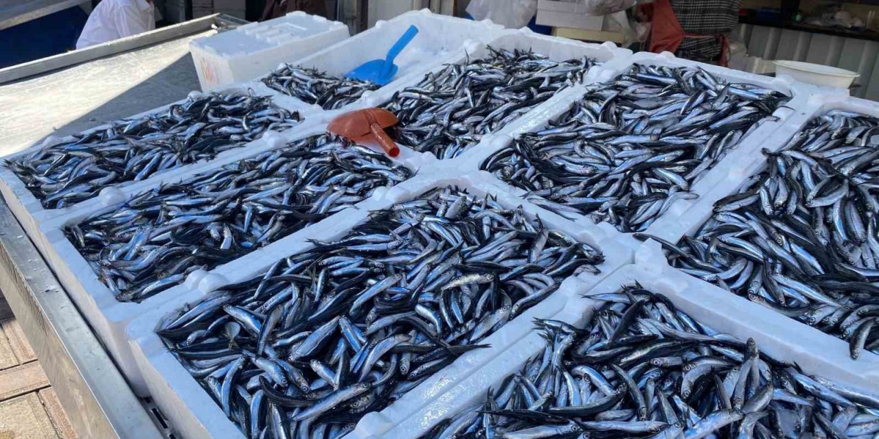 Balık fiyatları arttı, vatandaşlar ilgi göstermedi