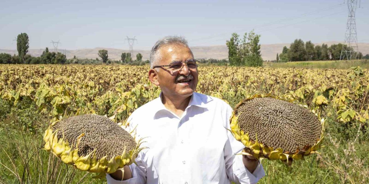 Büyükşehir’den ay çekirdeği üretiminde ilk sırada olan Kayseri’ye 5 kurutma sahası