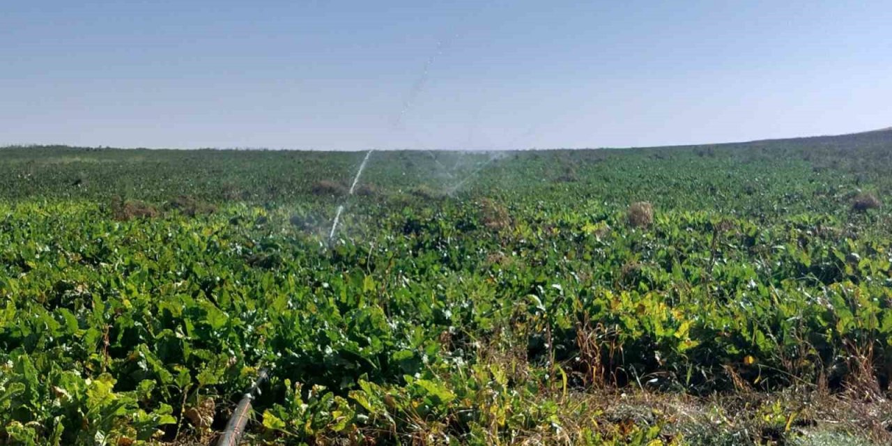 Bireysel sulama hibe desteği ödemeleri tamamlandı