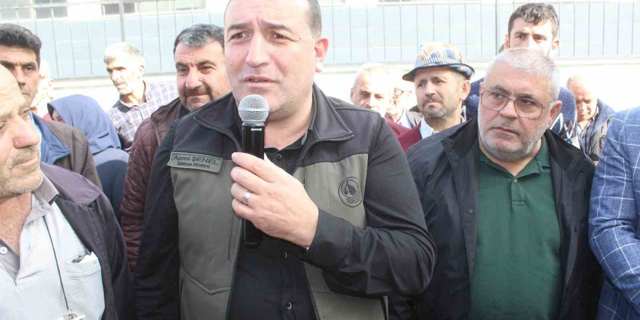 Kastamonu'da kestane toplamak isteyen mutlaka bunu yapmalı