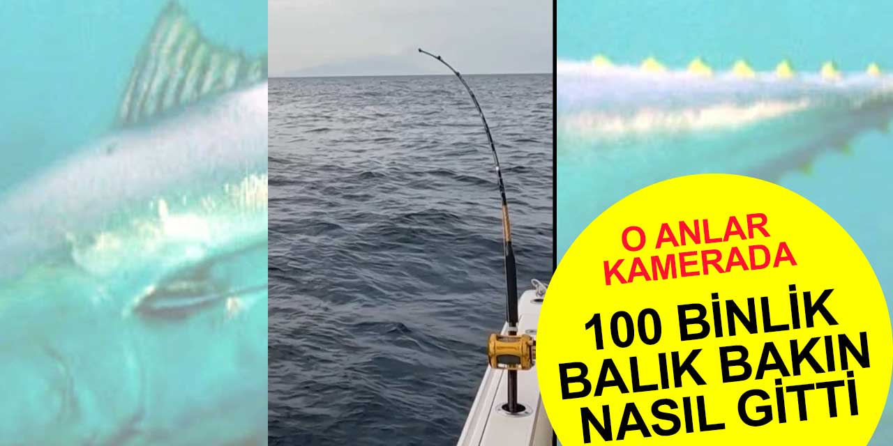 Olta dayandı tekne dayanamadı! Kaçan balık büyük olunca zarar da büyük oldu
