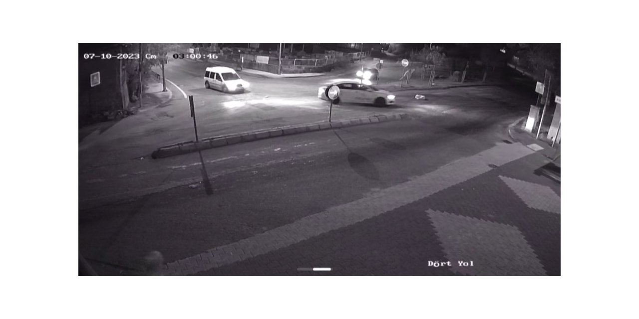 Maltepe’de yerde yatan köpeği ezen sürücü kamerada