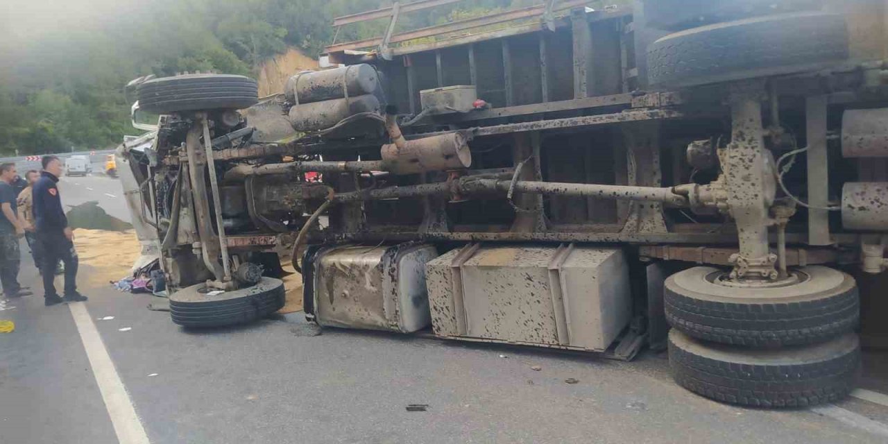 Kepek yüklü kamyon yola devrildi: 2 yaralı