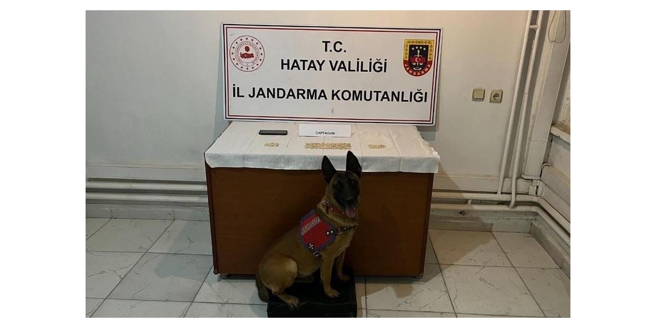Hatay’da bin 51 adet captagon hap ele geçirildi