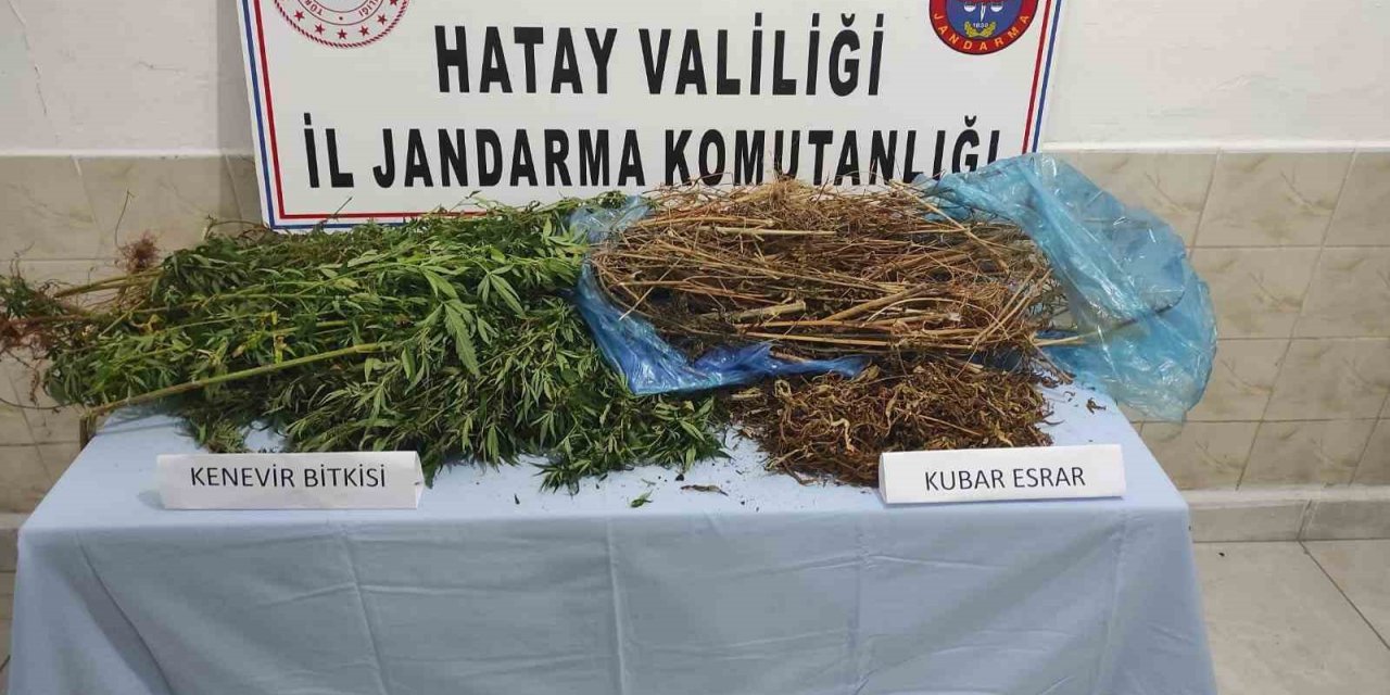 Ormanlık alanda uyuşturucu ele geçirildi