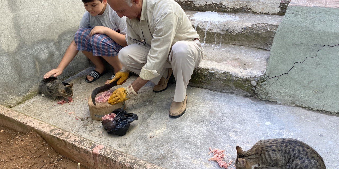 Depremde tedavi edip iyileştirdiler, şimdi ailenin parçası oldu