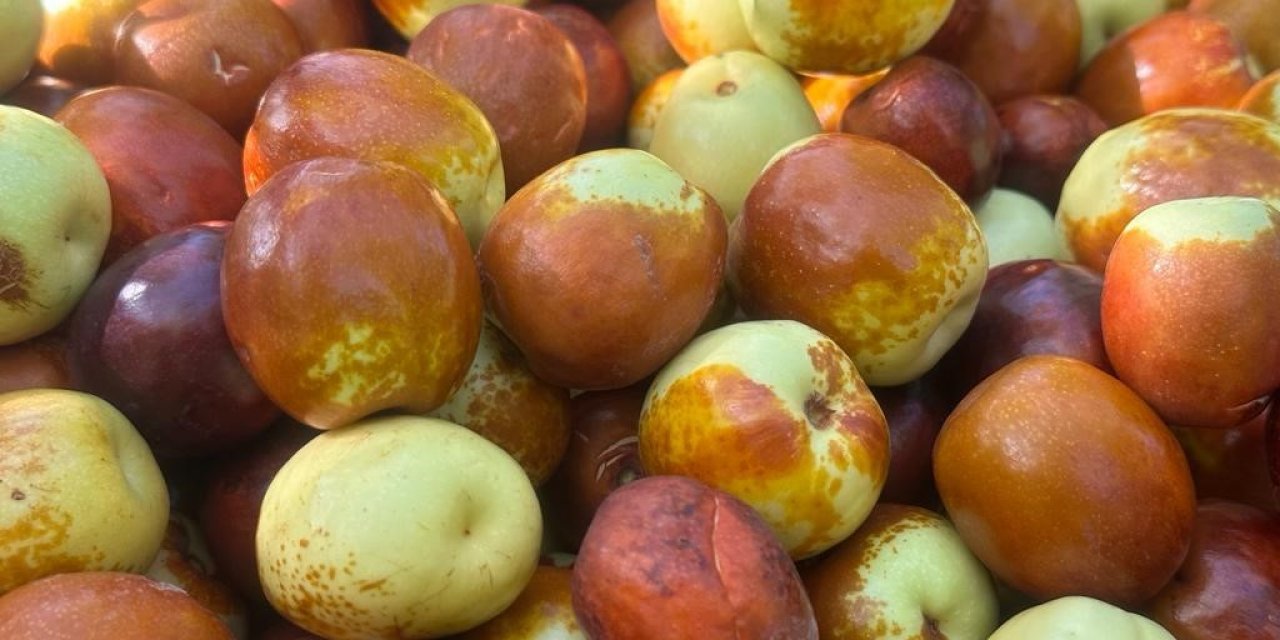 Başkent’in yanı başında yetişen şifa kaynağı: Hünnap