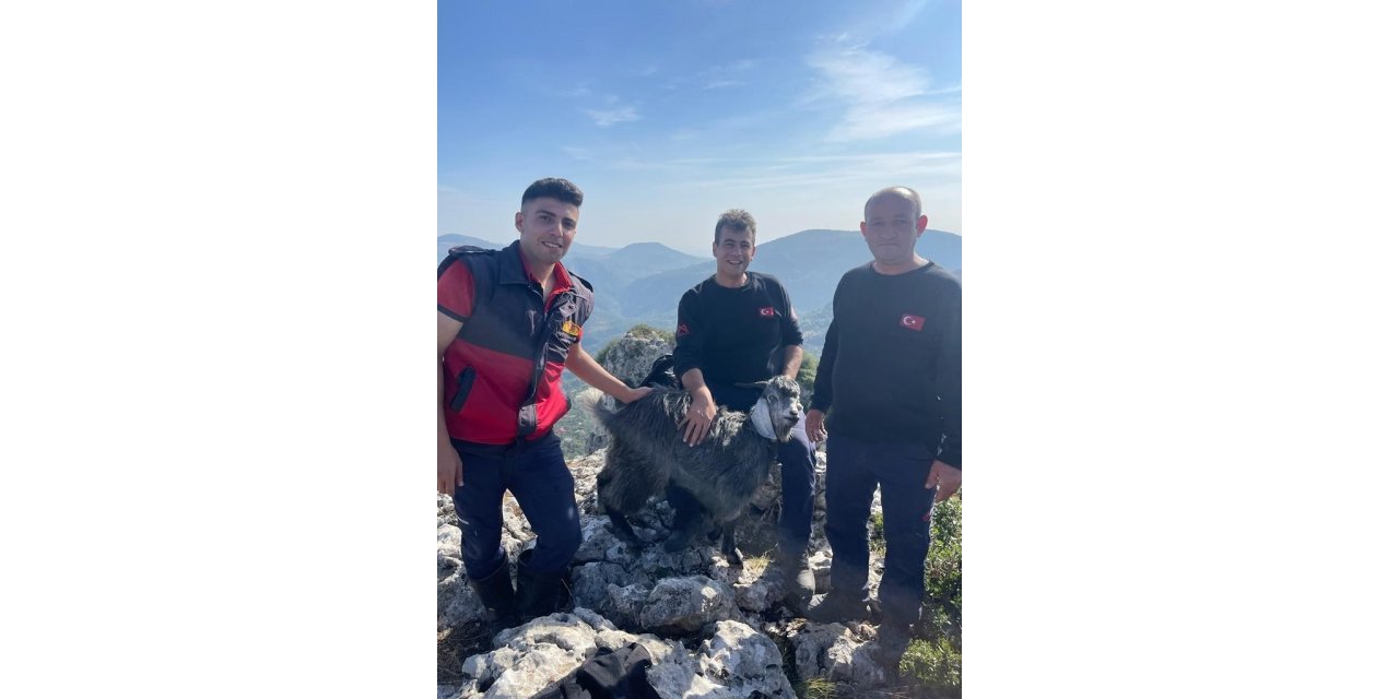 Mersin itfaiyesinden keçi kurtarma operasyonu