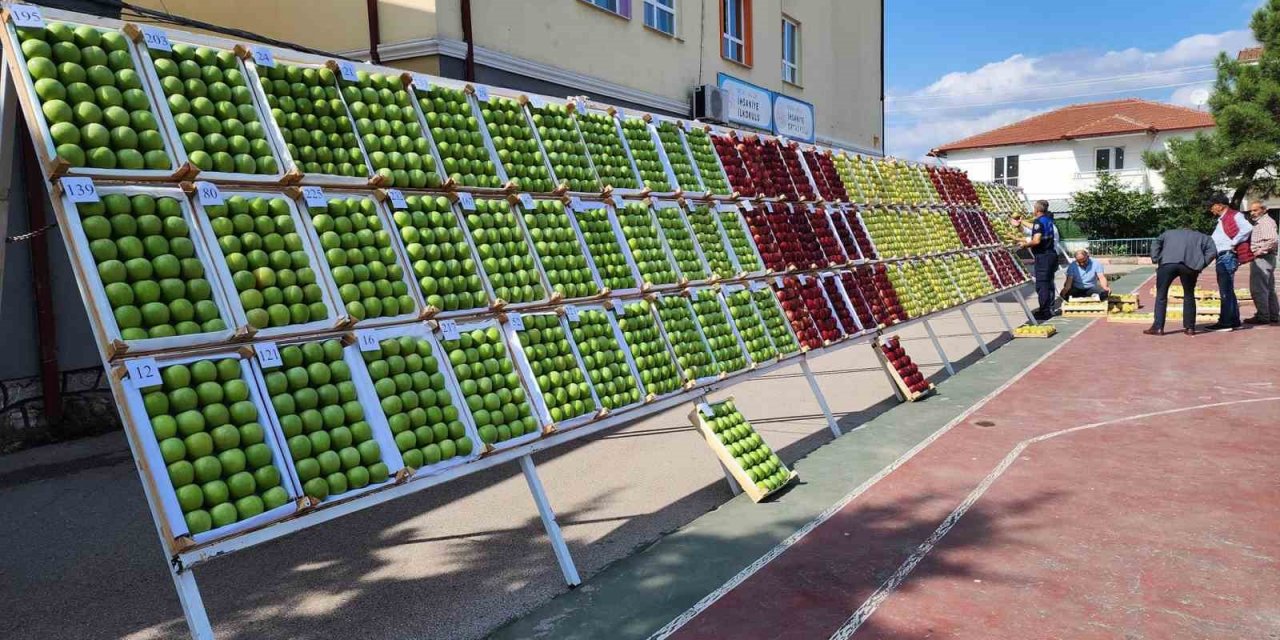 En güzel elma ve armutlar görücüye çıktı