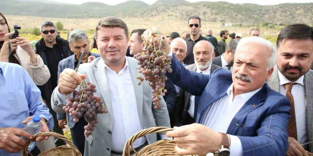 Aksaray’da 2. Geleneksel Bağ Bozumu ve Pekmez Festivali