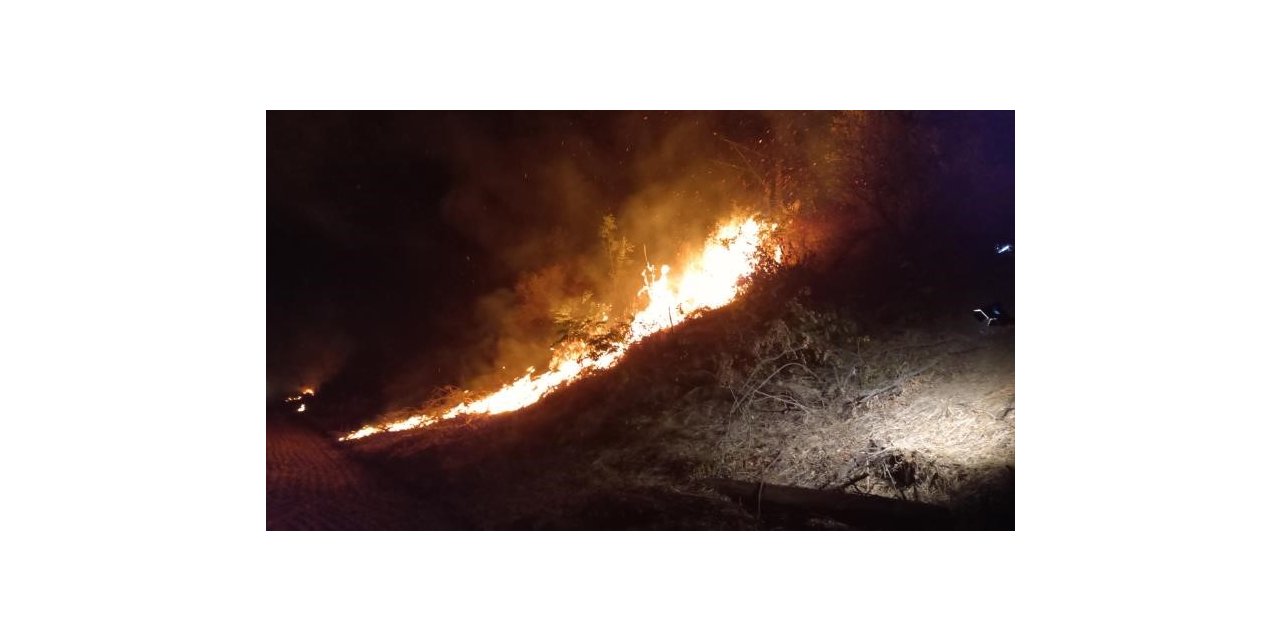 Yangın tren yoluna sıçradı, uluslararası lojistik tren seferi durdu