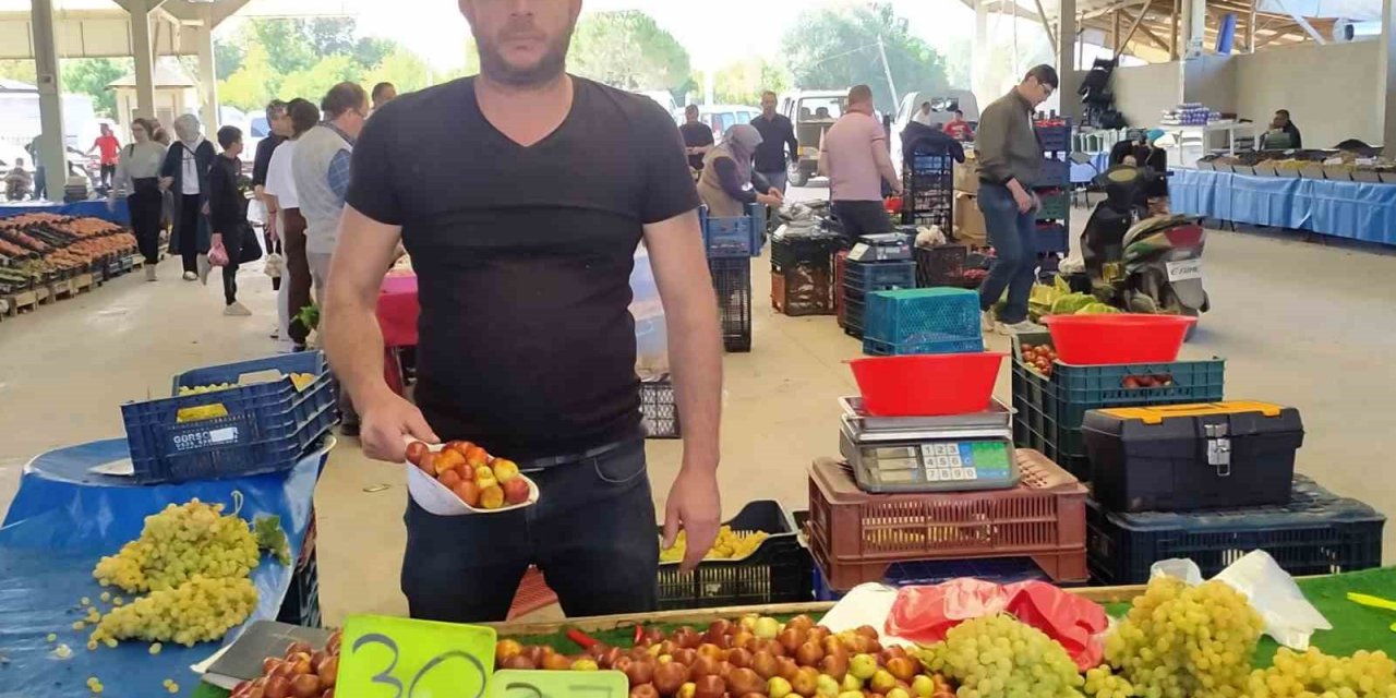 Hisarcık’ta fiyatı 30 TL’ye düşen şifa deposu hünnapa rağbet arttı