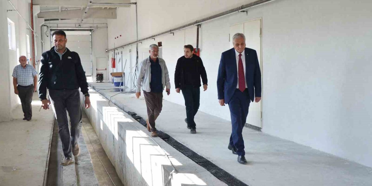 Nostaljik tramvaylar burada korunacak