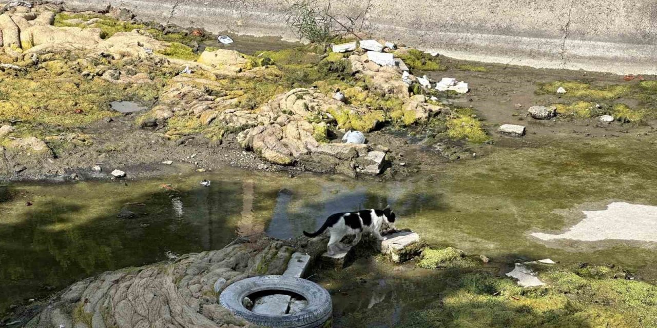 Suyu kesilen Porsuk Çayı’nda kirli görüntü dikkat çekiyor