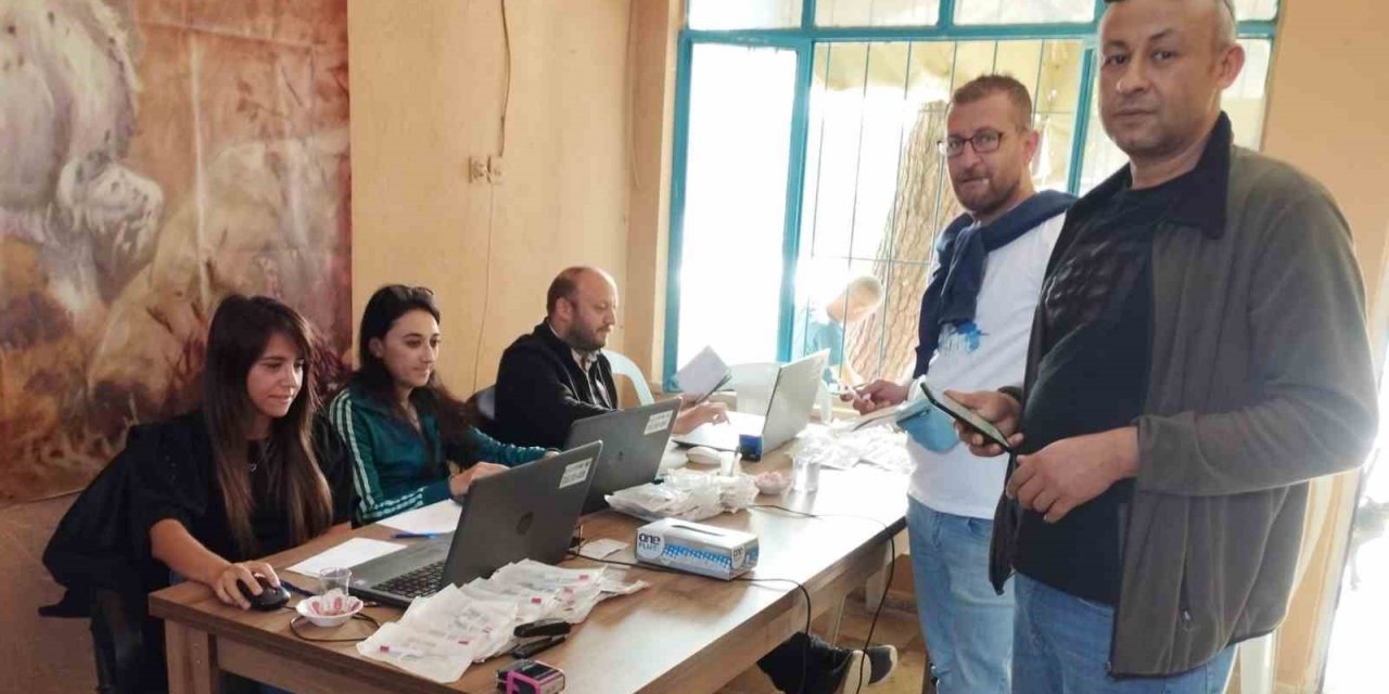 100 av köpeği çiplendi