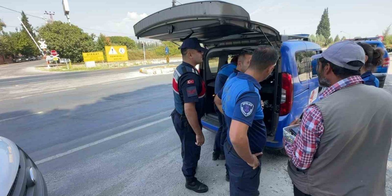 Aydın'a girmeden yakaladılar