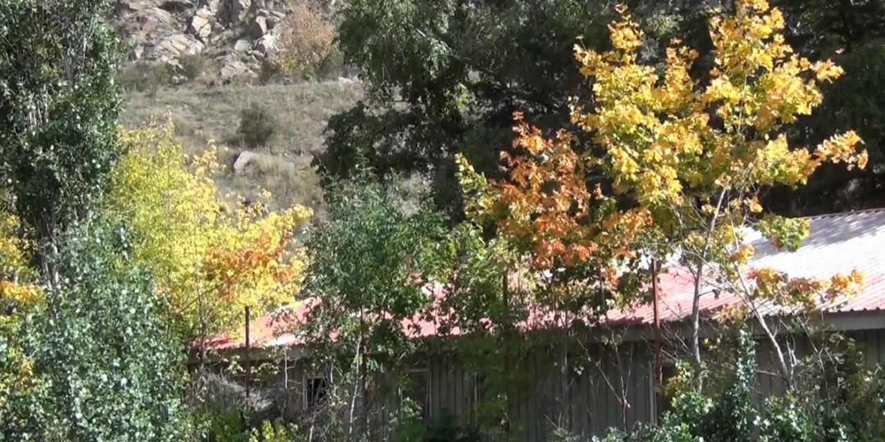 Kars’ta ağaçların yaprak dökümü başladı