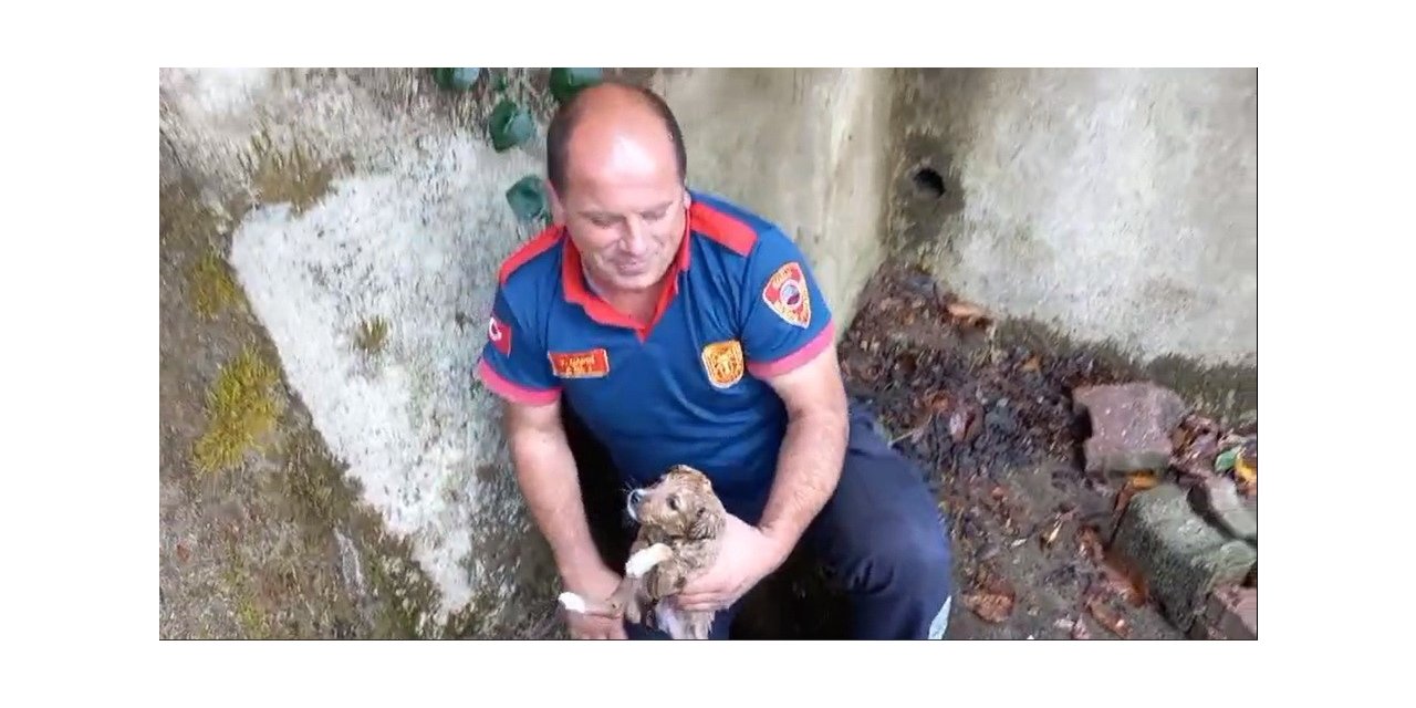Yağmur giderine sıkışan yavru köpeği itfaiye kurtardı