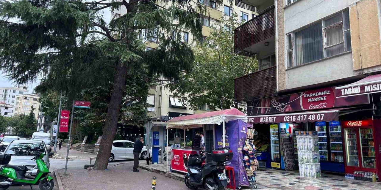 Ağaçta mahsur kalan kedi salamla ikna edildi