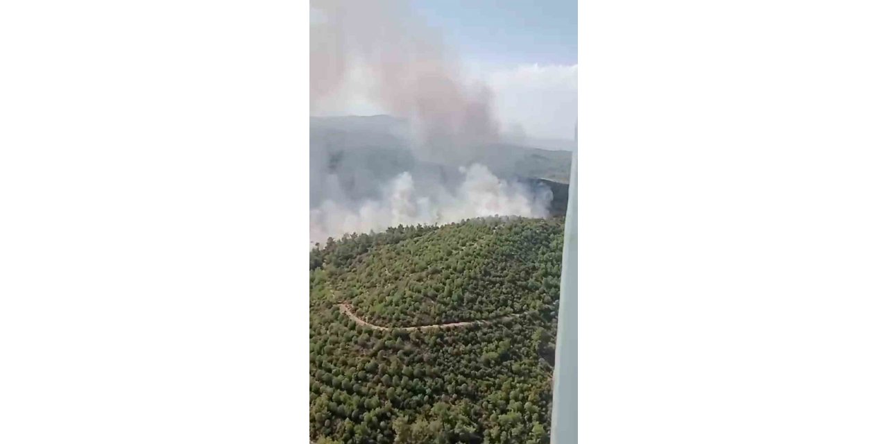 İzmir’deki orman yangını kontrol altında