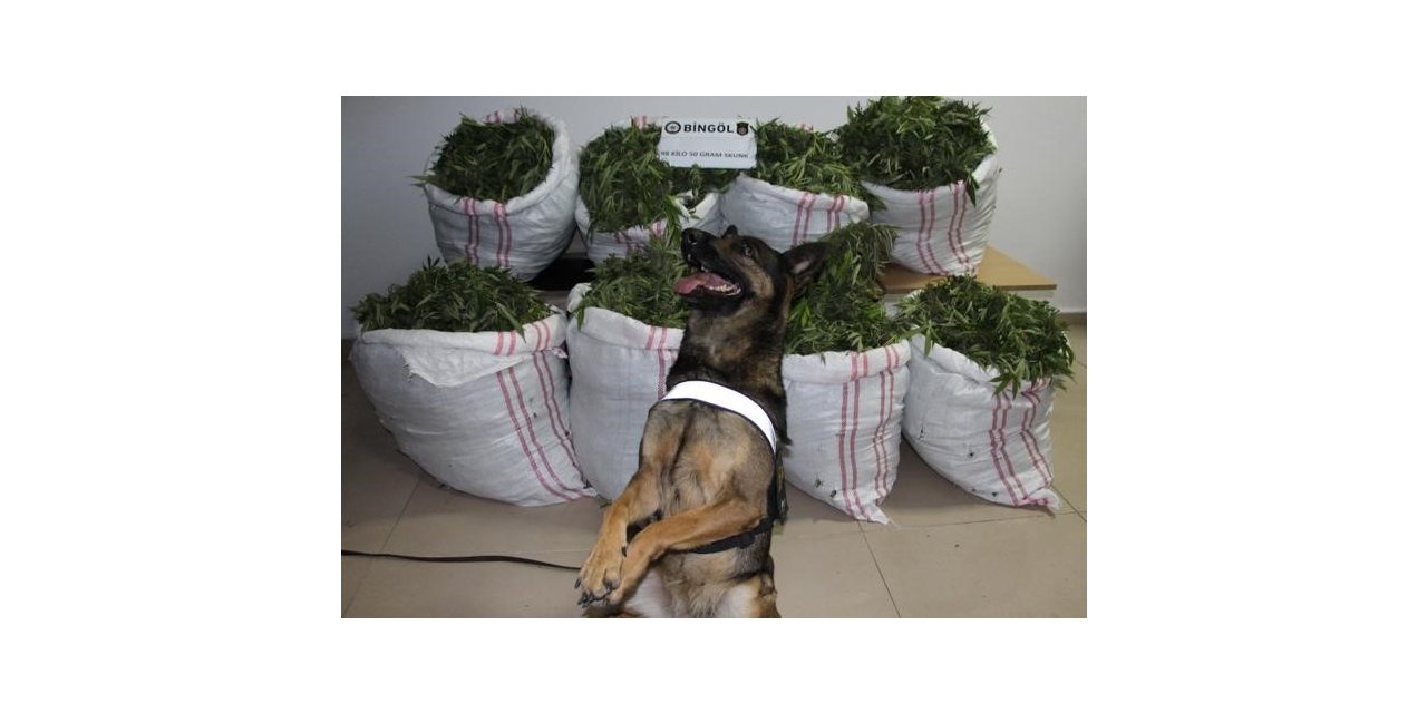 Bingöl’de bir haftada 112 kilo uyuşturucu ele geçirildi