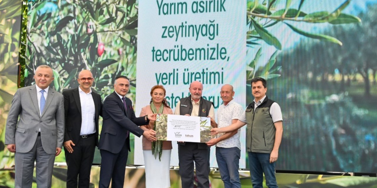 Türkiye’deki delice zeytinleri ekonomiye kazandırılmaya devam ediyor