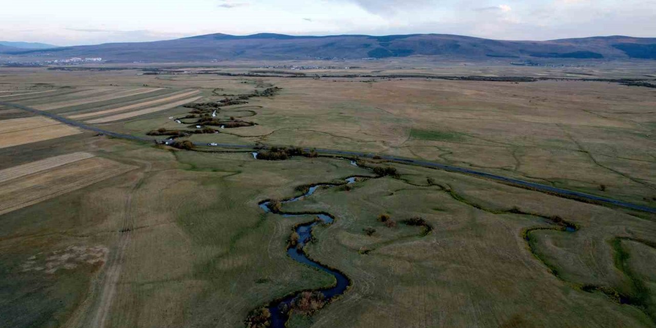 Doğanın "kılcal damarları" menderesler havadan görüntülendi
