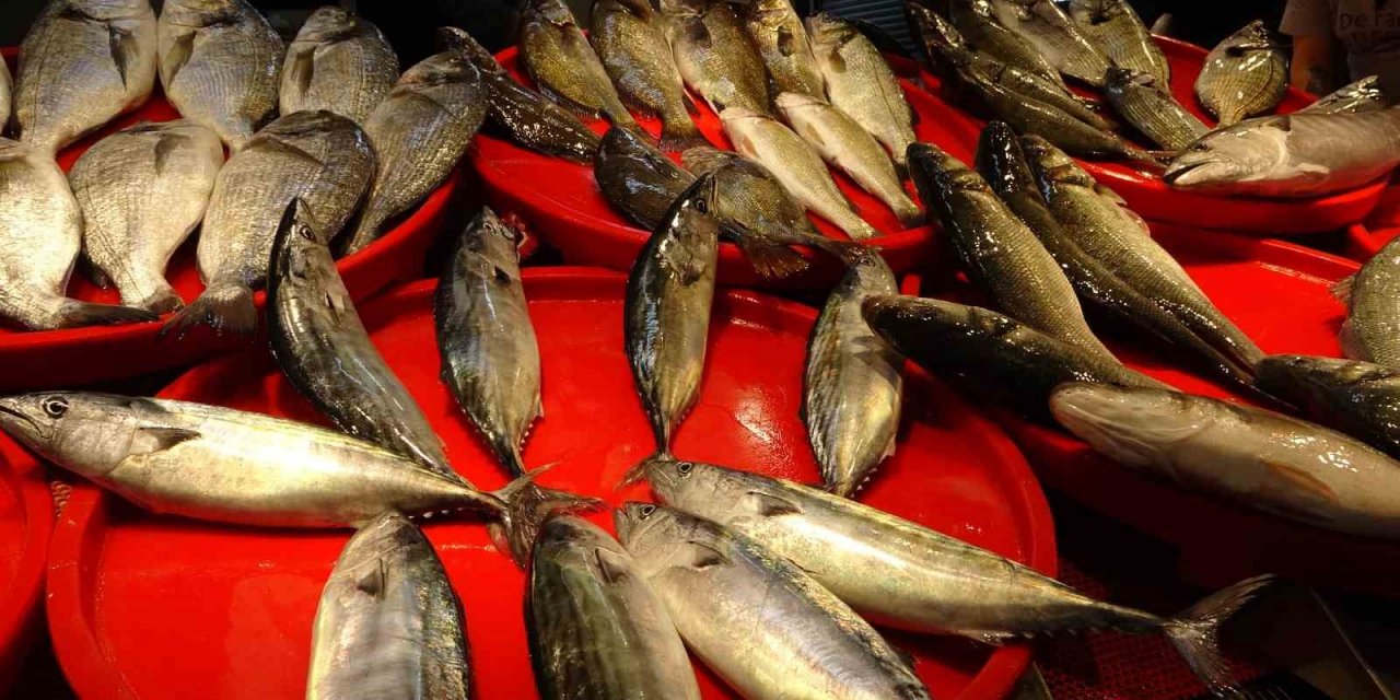 Sonunda tezgahlardaki yerini aldı