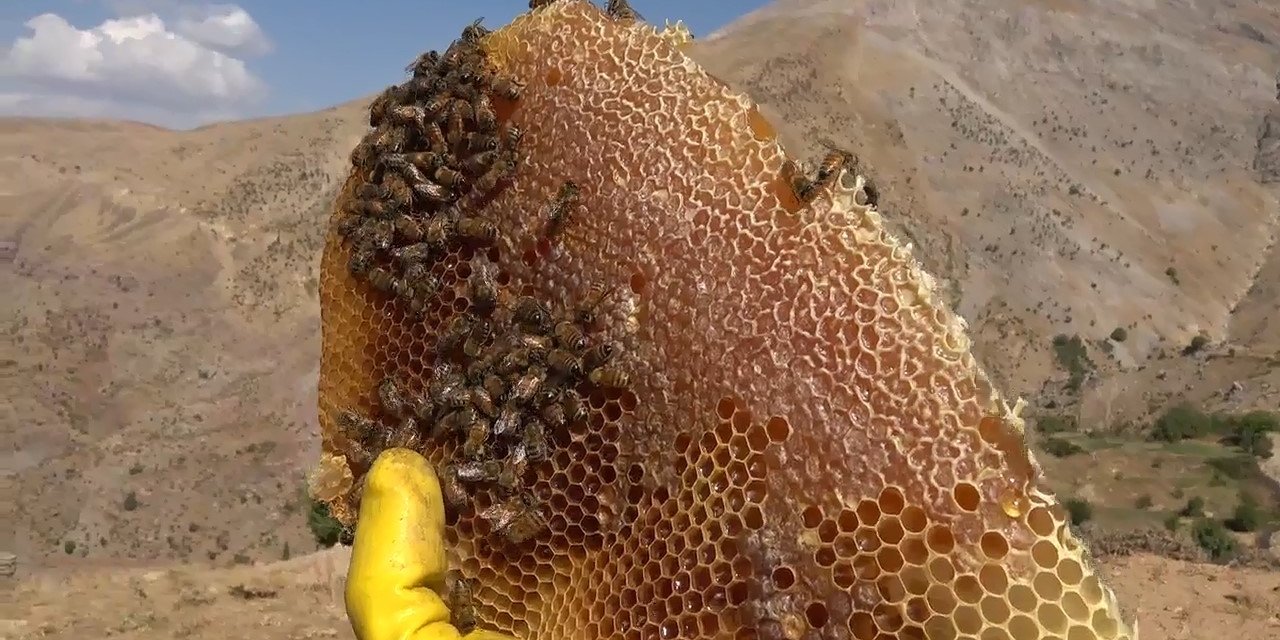 Batman’da üretilen bu bal, kilosu 2 bin 500 liradan alıcı buluyor