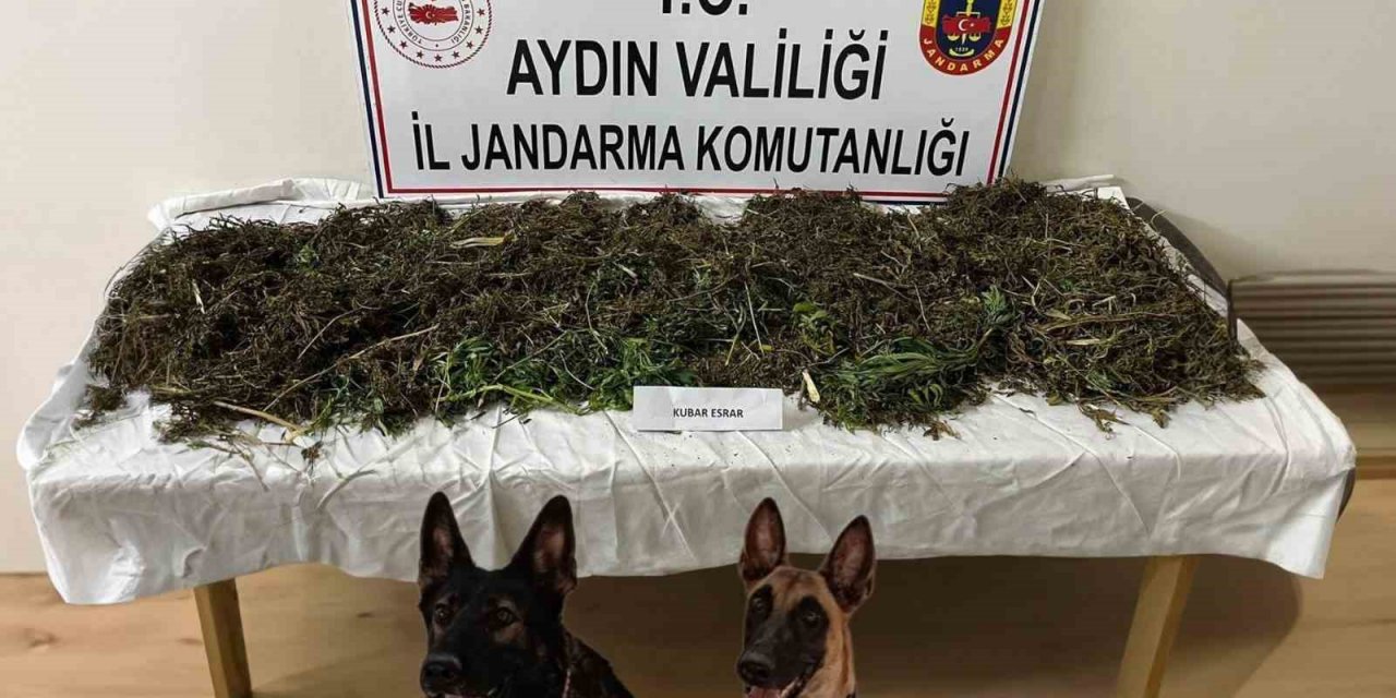 Koçarlı’da uyuşturucu operasyonu: 2 tutuklama