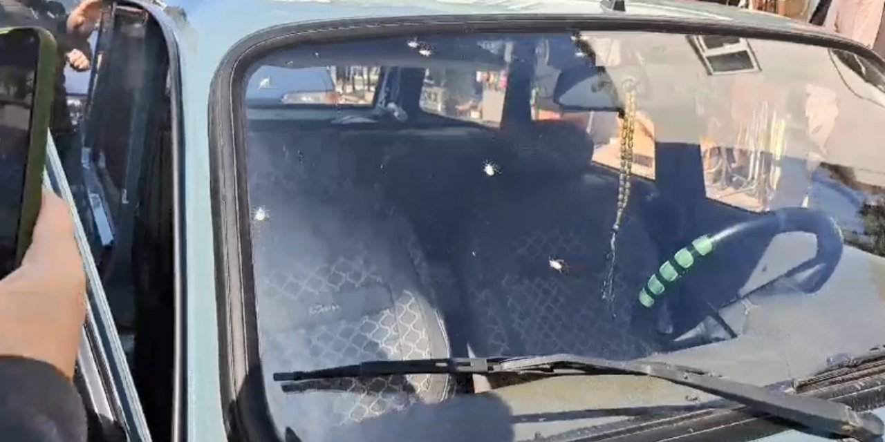 Ordu’da ’kahverengi kokarca’ sorunu