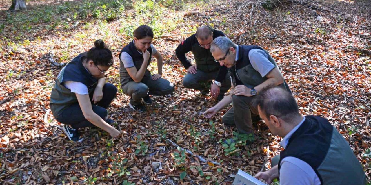 Orman Bölge Müdürü Kayıran Gönen’de