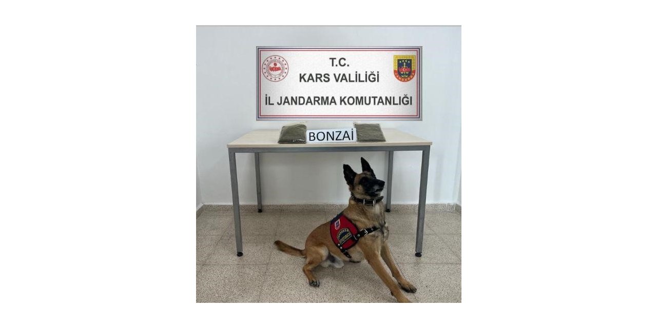 Kars’ta yolcu otobüsünde uyuşturucu ele geçirildi