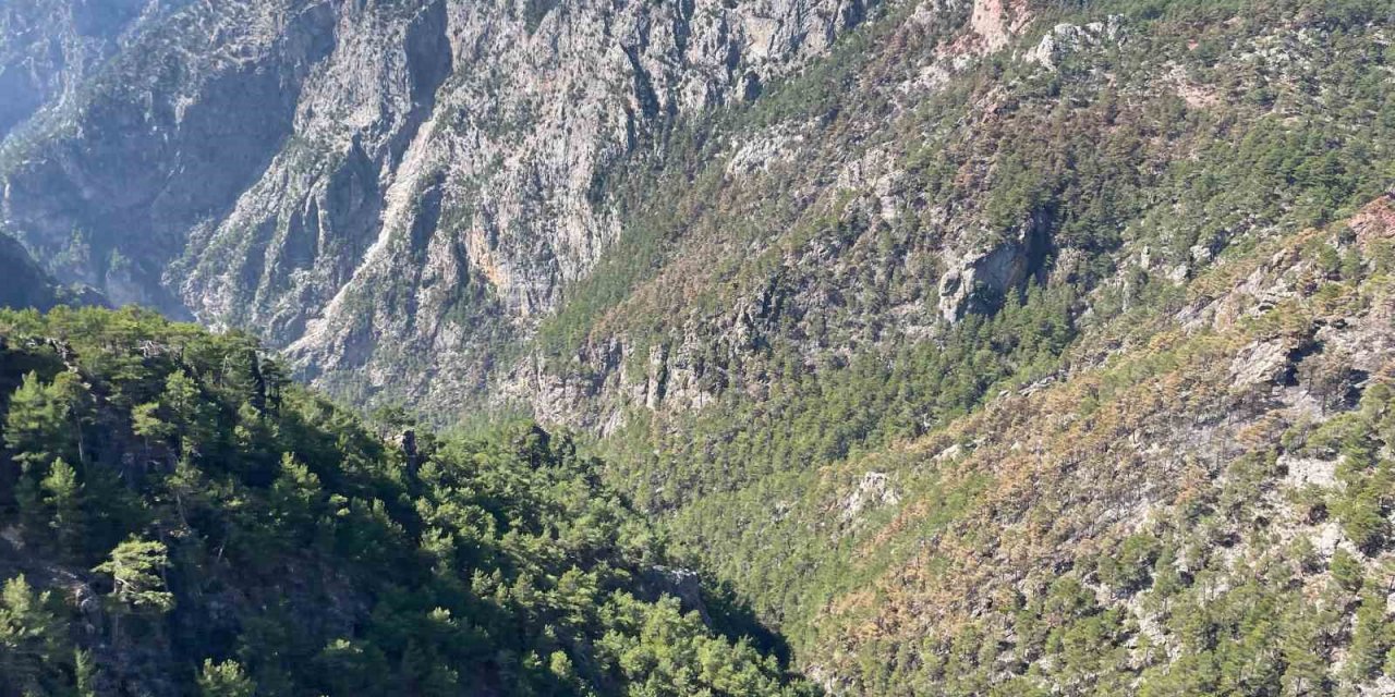Karanlıkdere Kanyonu’nda çıkan yangın kontrol altına alındı