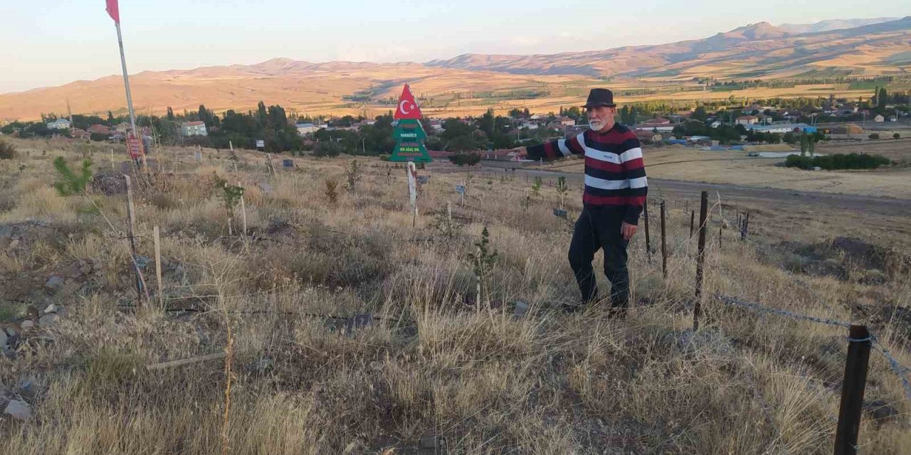 Bozkırı yeşertmek için ter döküyor