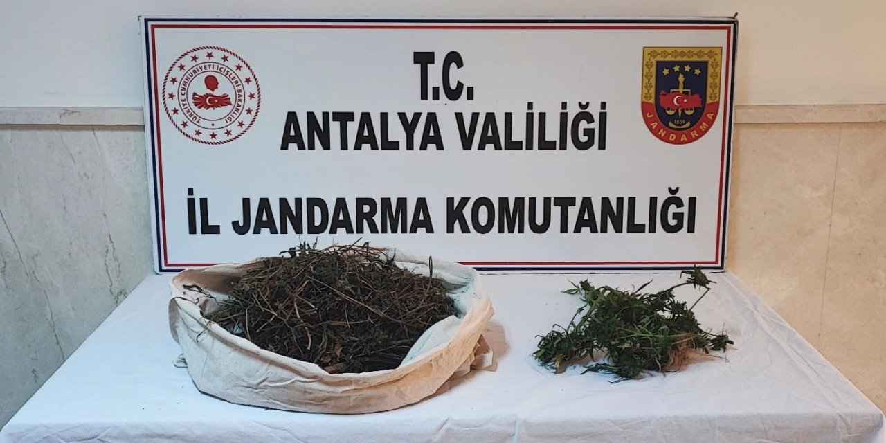 Jandarmanın "Huzurlu Sokaklar" uygulamasında çok sayıda uyuşturucu ele geçirildi