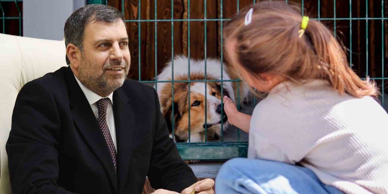 AK Parti İl Başkanı Reyhan’dan barınak açıklaması