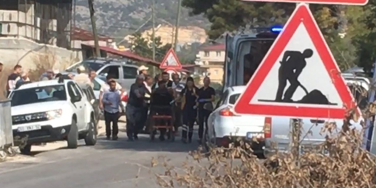 Zeytin hasadı yaparken arıların saldırdığı şahıs hayatını kaybetti