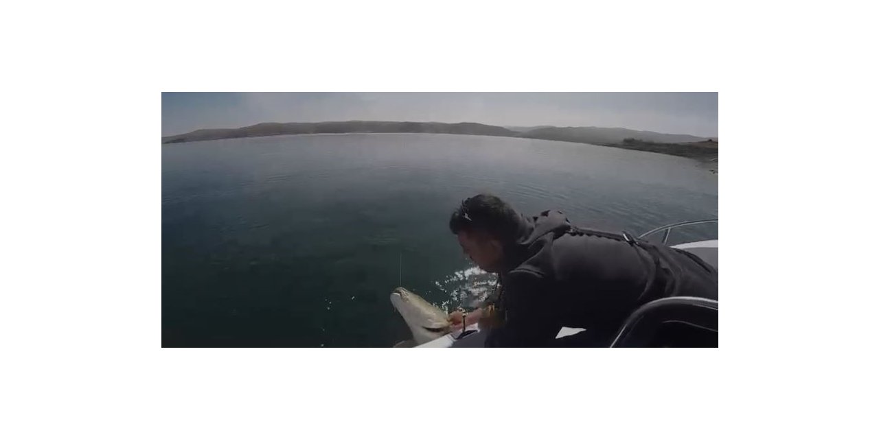 Yakaladığı 40 kiloluk dev Fırat turnasını popülasyonu korumak için tekrar suya bıraktı