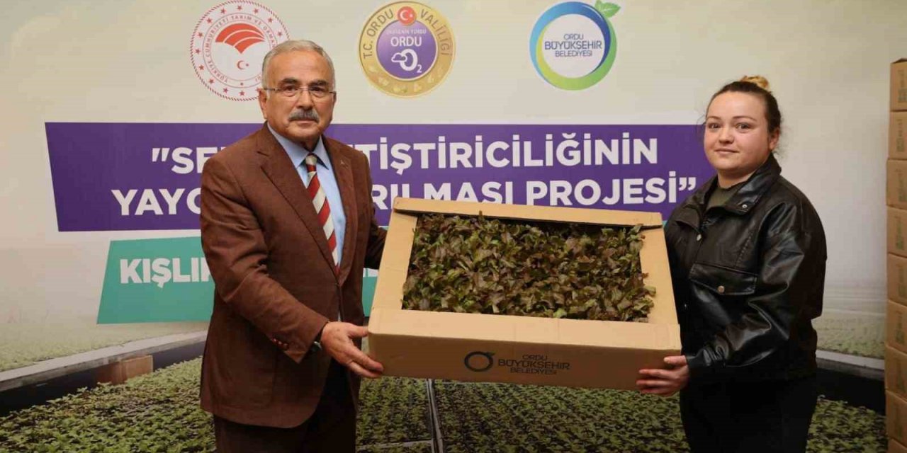 Ordu’da 4,5 yılda 3 milyon sebze fidesi vatandaşlara dağıtıldı