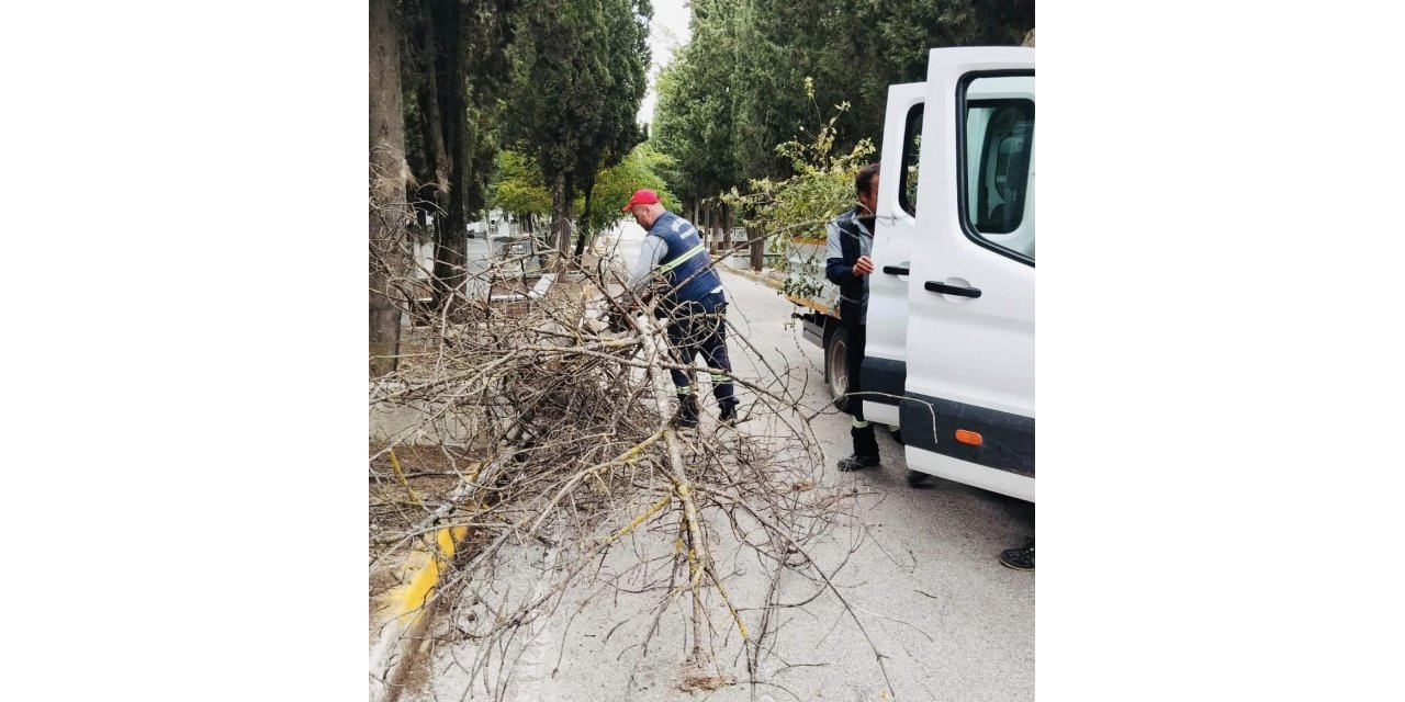 Körfez’de mezarlıklara genel bakım