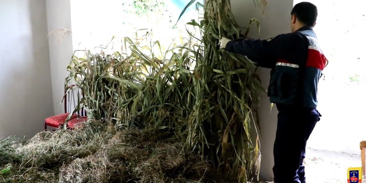 Rize’de 5 ilçede yapılan eş zamanlı operasyonlarda 14 kişi gözaltına alındı