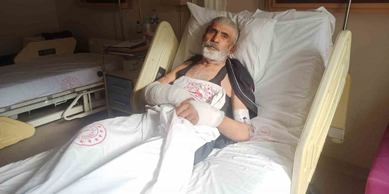 'Ağzına elimi soktum!' Ayı saldırısından böyle kurtuldu