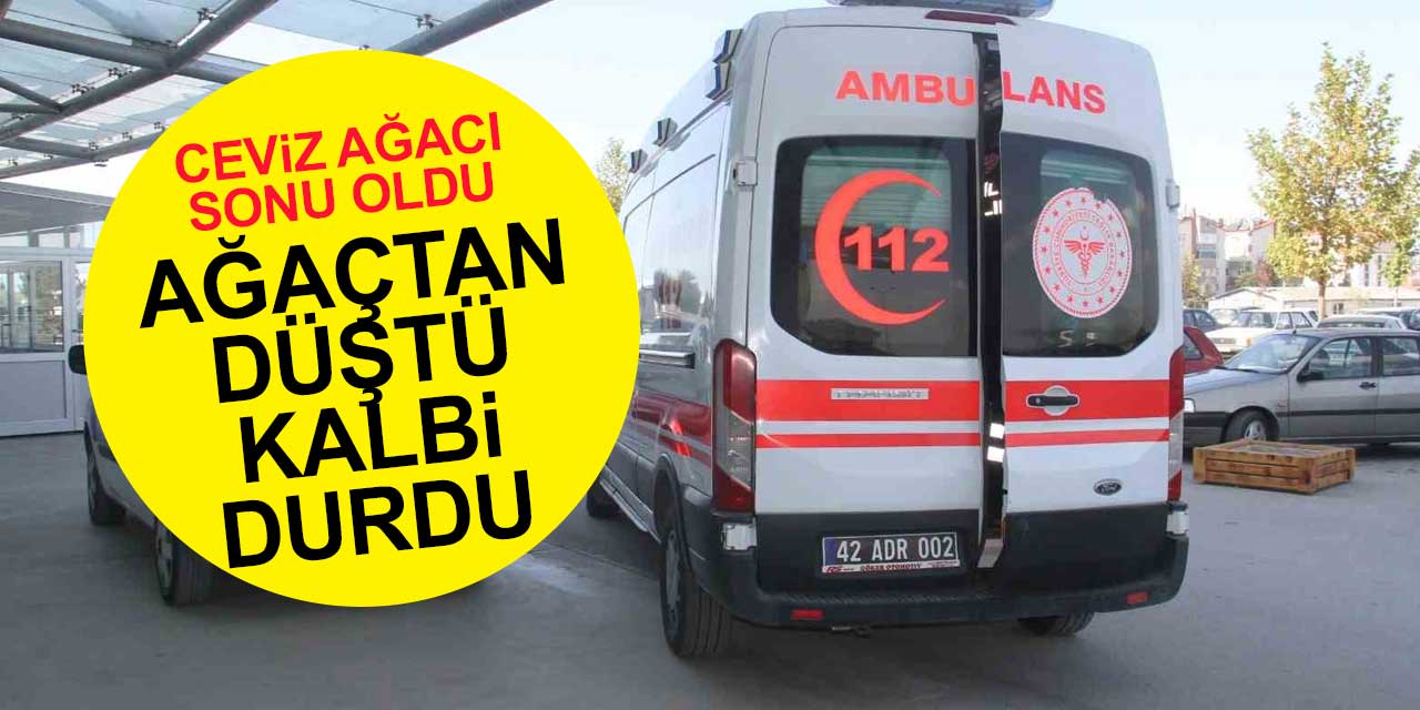 Konya'da ceviz ağacından düşen yaşlı adamın kalbi durdu
