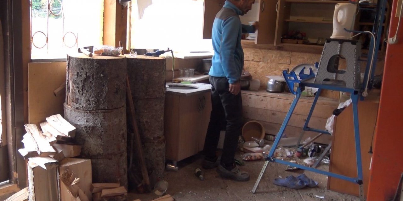 Doğu Karadeniz Bölgesinde artan ayı saldırılarına karşı uzmanlardan öneriler