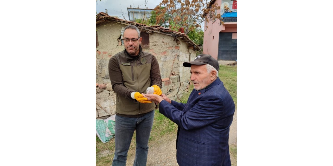 Minareden düşen yavru puhuyu Ahmet amca kurtardı