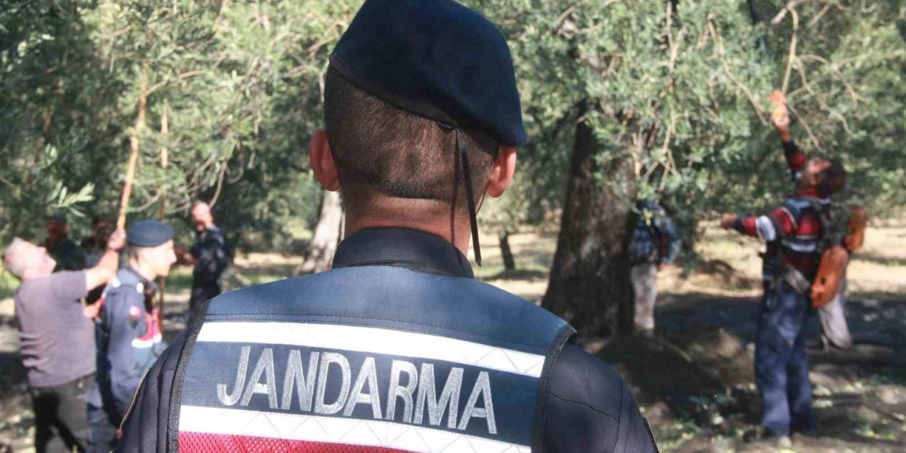 Zeytin bahçeleri jandarma tarafından iHA’lar ve Cobralar ile hırsızlık olaylarına karşı korunacak