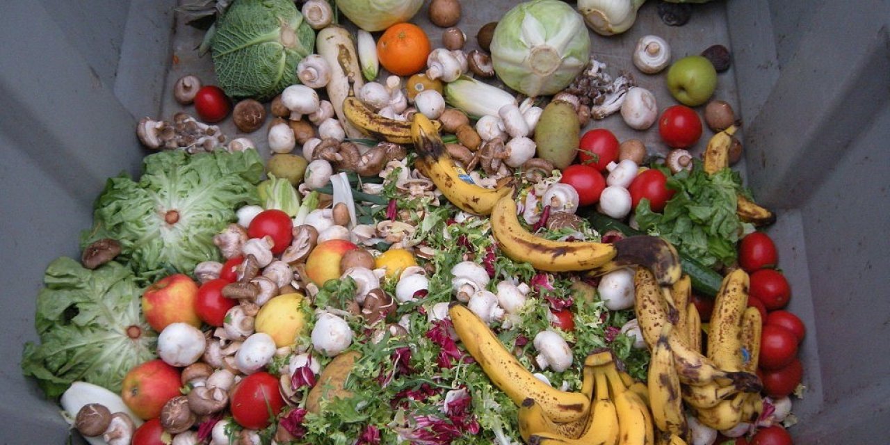 İsrafın boyutu: Türkiye’de çöpe atılan ekmeklerle her yıl 500 okul yapılabilir