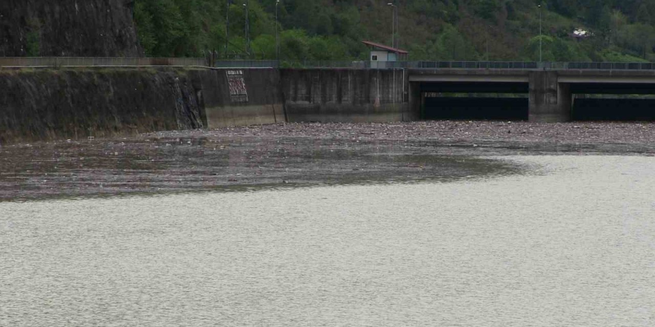 Artvin’de sel suları Muratlı Baraj gölünü çöplüğe döndürdü