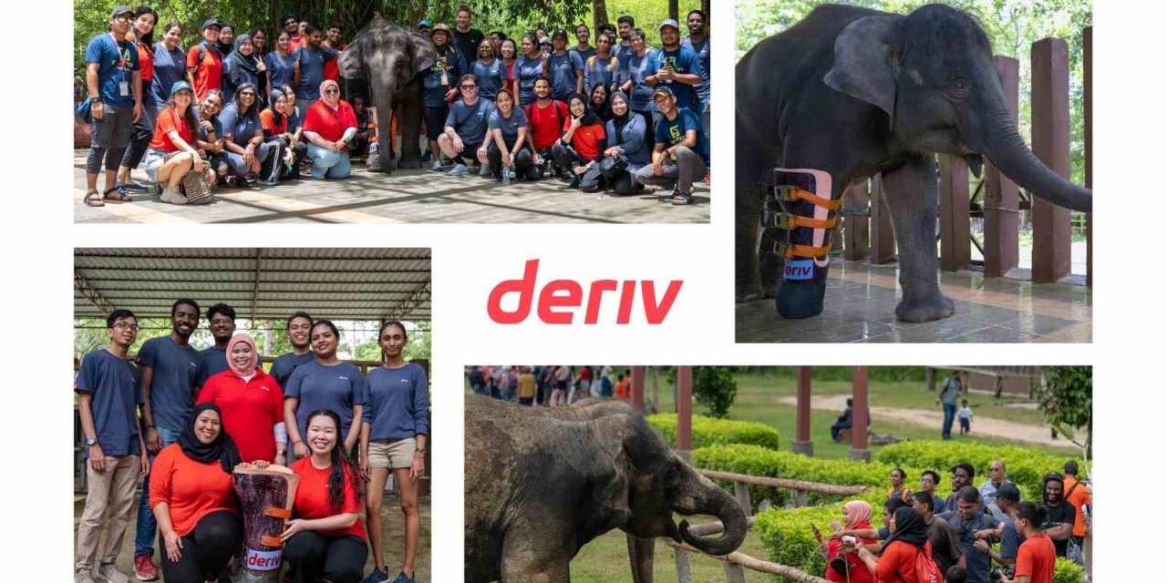 Fintech şirketi sosyal ve çevresel amaçlara olan bağlılığını güçlendiriyor